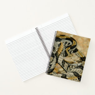 Coiled Timber Rattlesnake Notebook