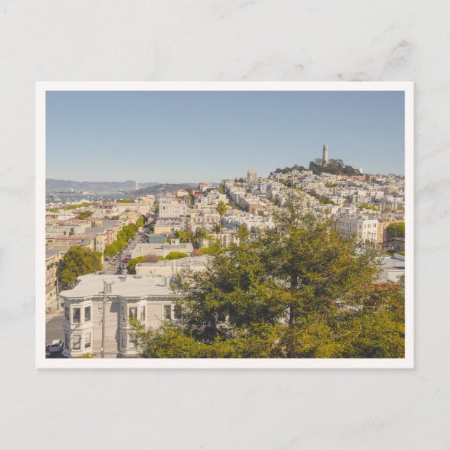 Coit Tower From Russian Hill San Francisco Postcard (Front)
