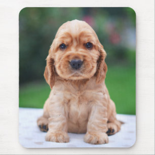Coker Spaniel Puppy Mouse Mat