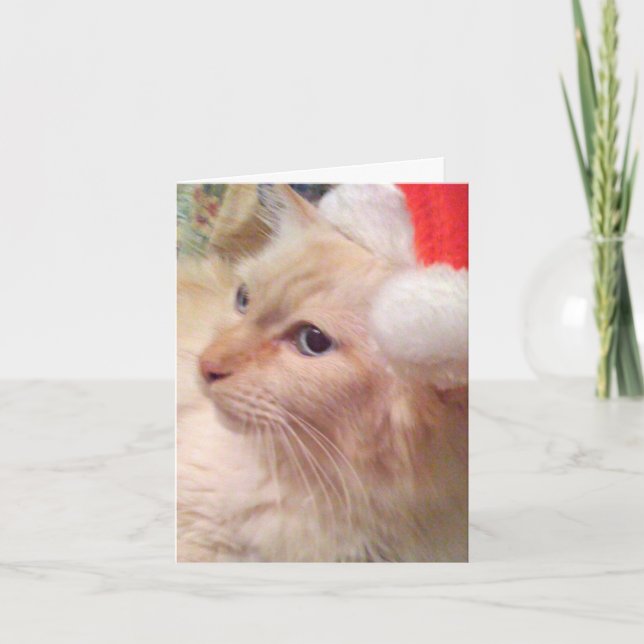 Cokie Cat Sm Christmas Cards (Front)