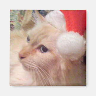 Cokie the Cat Christmas Magnet