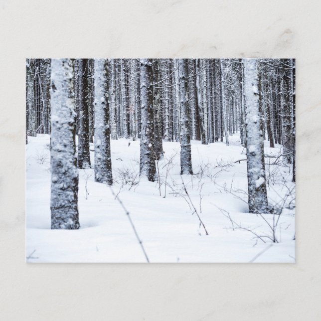 COL DU MOLLENDRUZ, MONT-LA-VILLE, SWITZERLAND POSTCARD (Front)