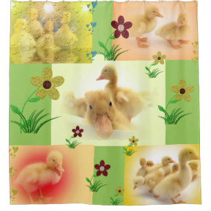 colage of cute ducks pictures shower curtain