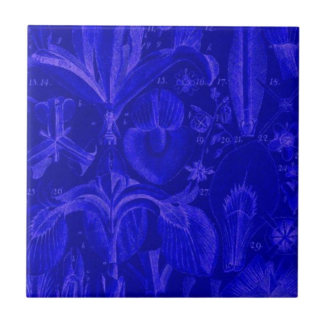 Colbalt Blue Tile (Front)