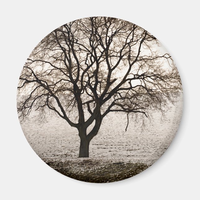 cold and lovely magnet (Front)