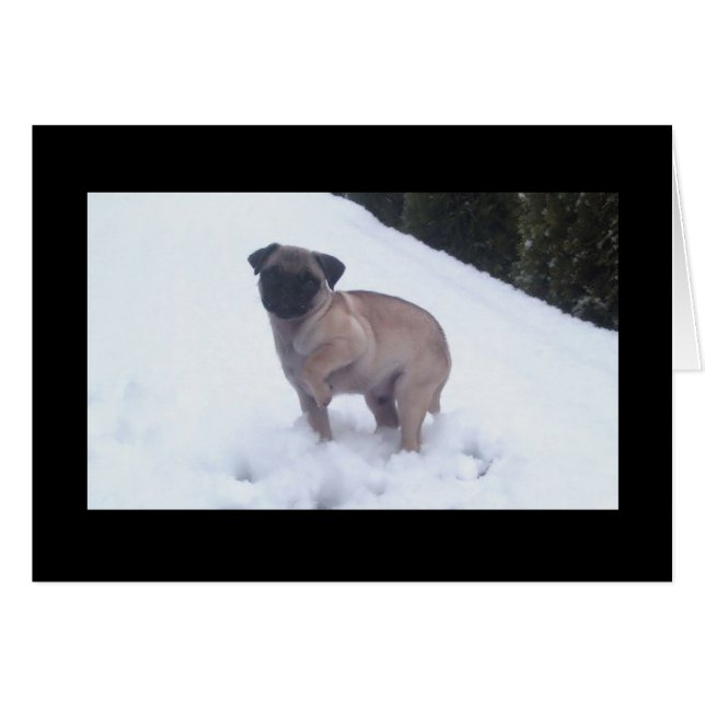 Cold Feet (Front Horizontal)