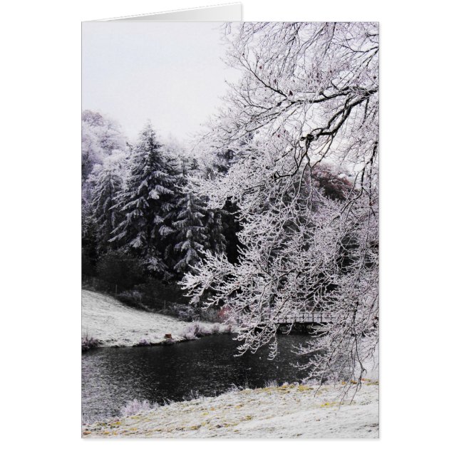 Cold frosty morning (Front)