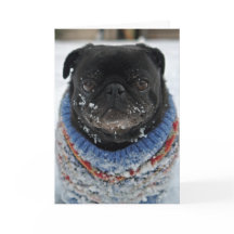 Cold Puggy in the Snow Birthday Greeting Card