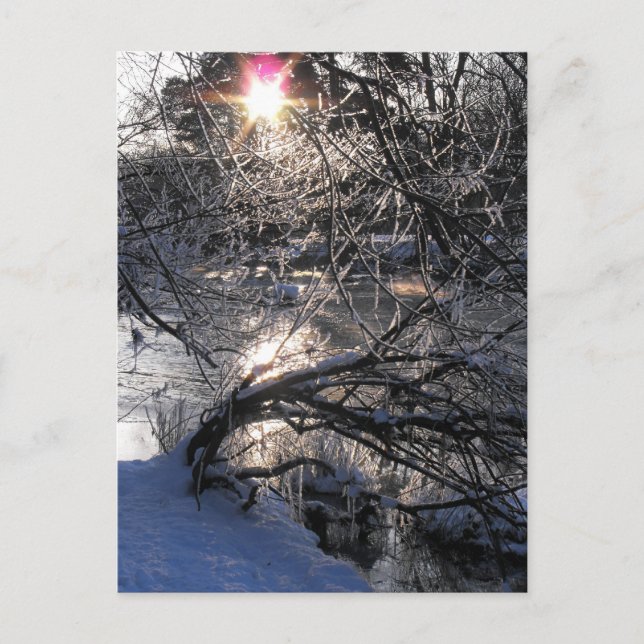 Cold River Hafren Postcard (Front)