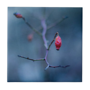 Cold rose ceramic tile