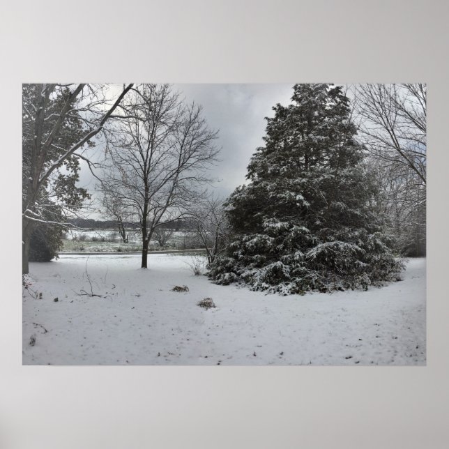 Cold Snowy Winter Day Poster (Front)