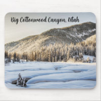 Cold Utah Memories
