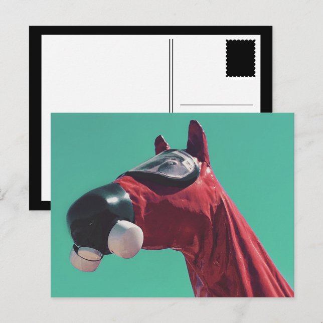 cold war horse postcard (Front/Back)