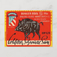 Colditzer Schwarze Sau