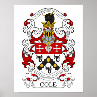 Cole Custom 2 Poster