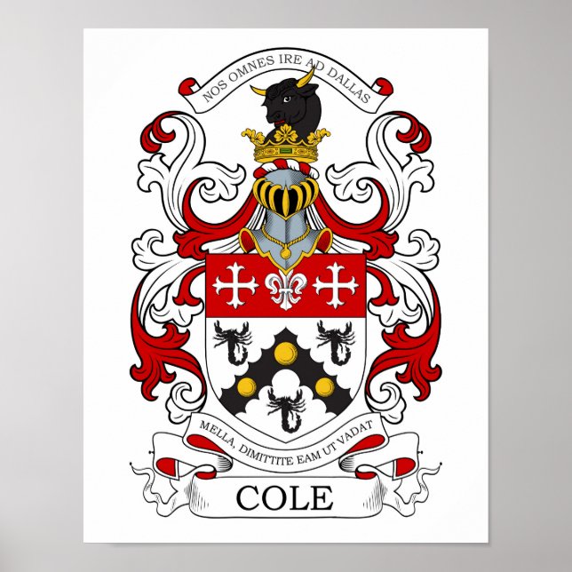 Cole Custom 2 Poster (Front)