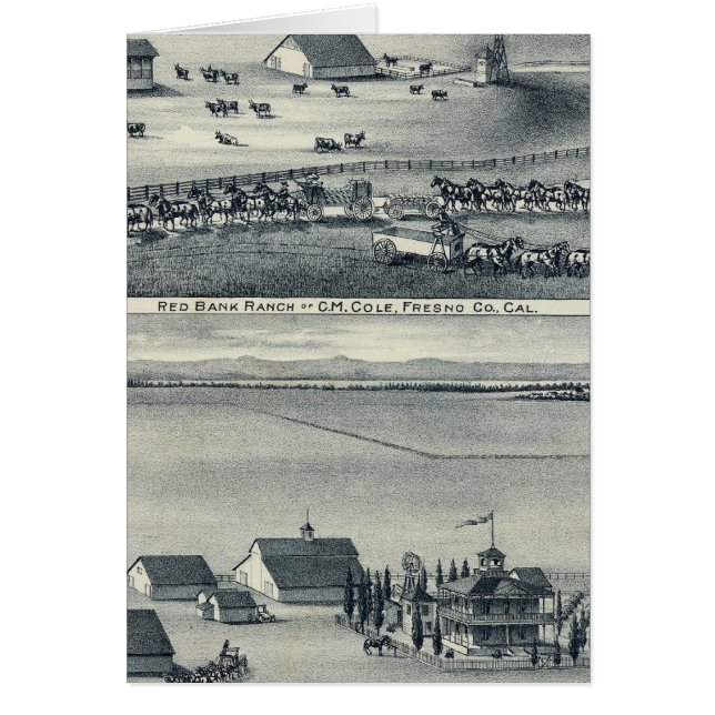 Cole Ranches (Front)