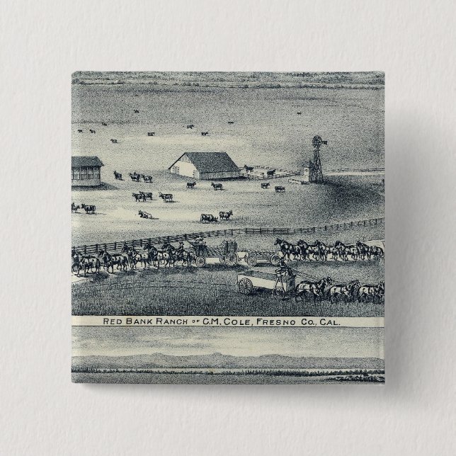 Cole Ranches 15 Cm Square Badge (Front)