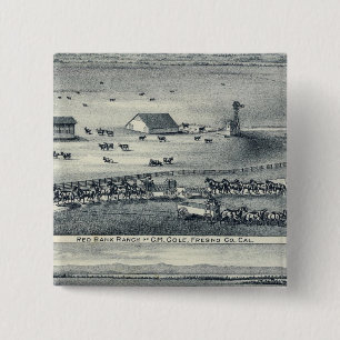 Cole Ranches 15 Cm Square Badge