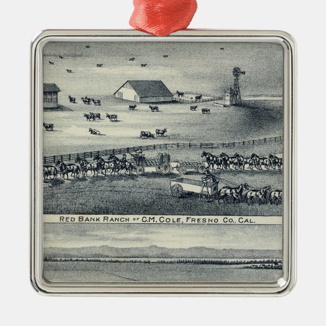 Cole Ranches Metal Tree Decoration (Front)