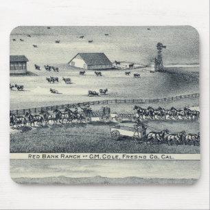 Cole Ranches Mouse Mat