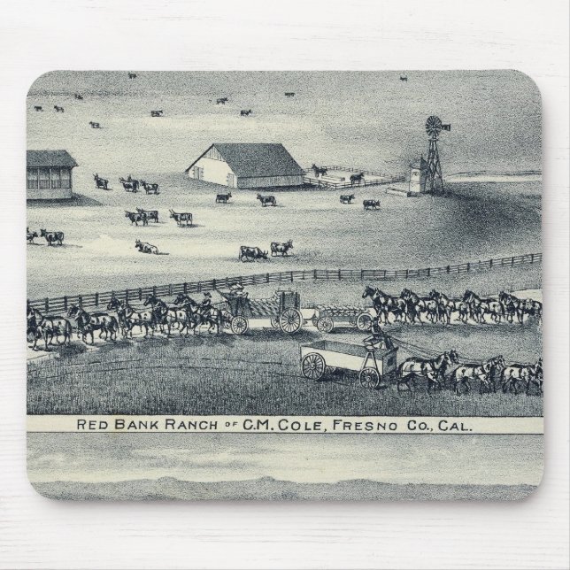 Cole Ranches Mouse Mat (Front)