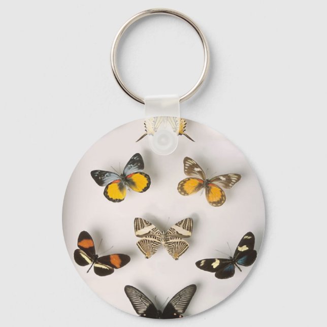 Colection-of-butterflies, keychain (Front)