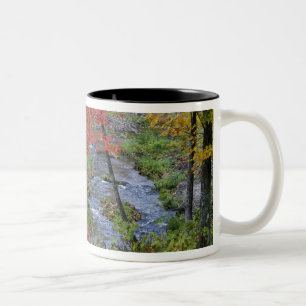 Coles Creek lined with autumn maple trees near Two-Tone Coffee Mug