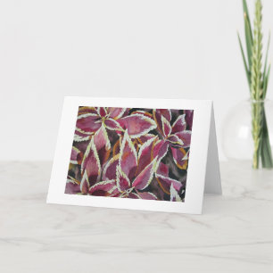 Coleus Card