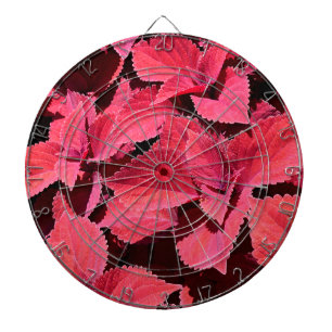 Coleus Close-up  Dartboard
