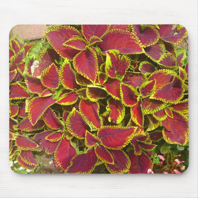 Coleus Flower Patch Mousepad (Front)
