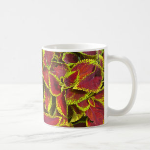 Coleus Flower Patch Mug