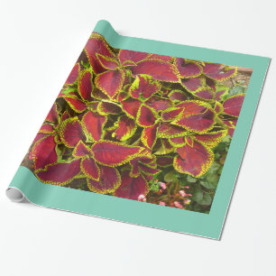 Coleus Flower Patch Wrapping Paper