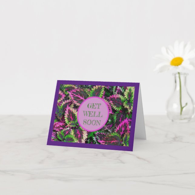 COLEUS LEAVES /GET WELL SOON/  CUSTOMIZABLE CARD (Small Plant)