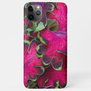 Coleus Macro iPhone 11 Pro Max Case
