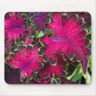 Coleus Macro Mouse Mat