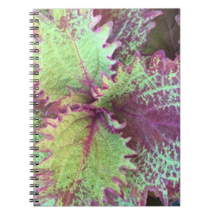Coleus Notebook