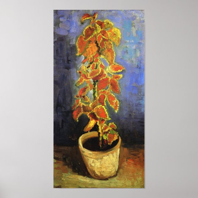 Coleus Plant in a Flowerpot Van Gogh Fine Art Poster (Front)