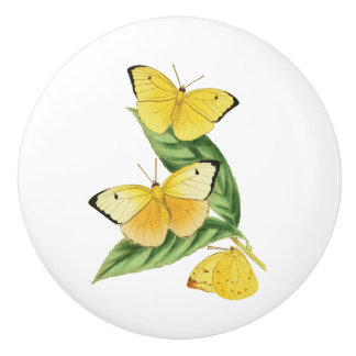 Colias Statira Butterfly Ceramic Knob