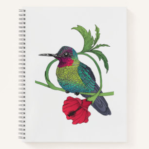 Colibri Bird Illustration Notebook