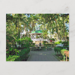 Colima, Colima, Mexico Postcard