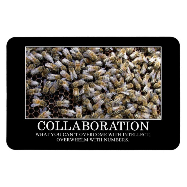 Collaboration Improves Your Chance of Success Magnet (Horizontal)