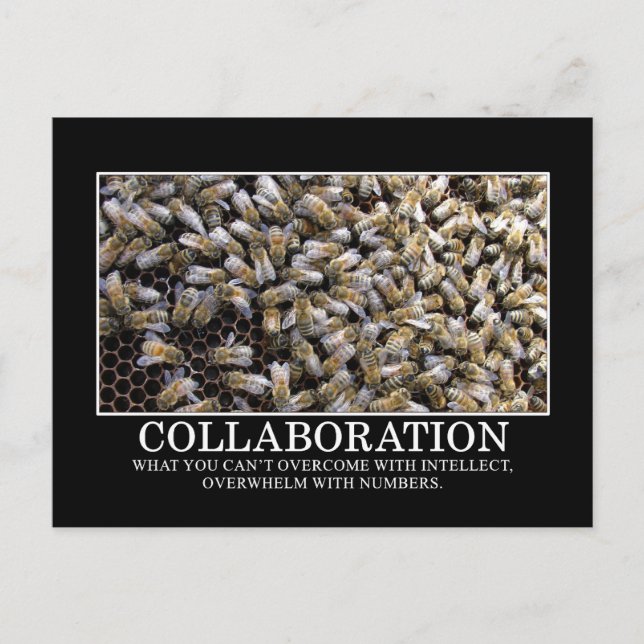 Collaboration Improves Your Chance of Success Postcard (Front)