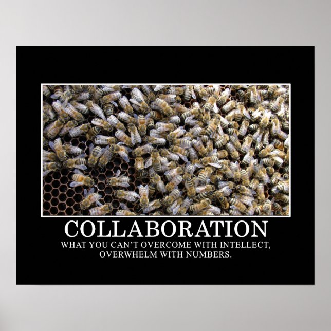 Collaboration Improves Your Chance of Success [S] Poster (Front)
