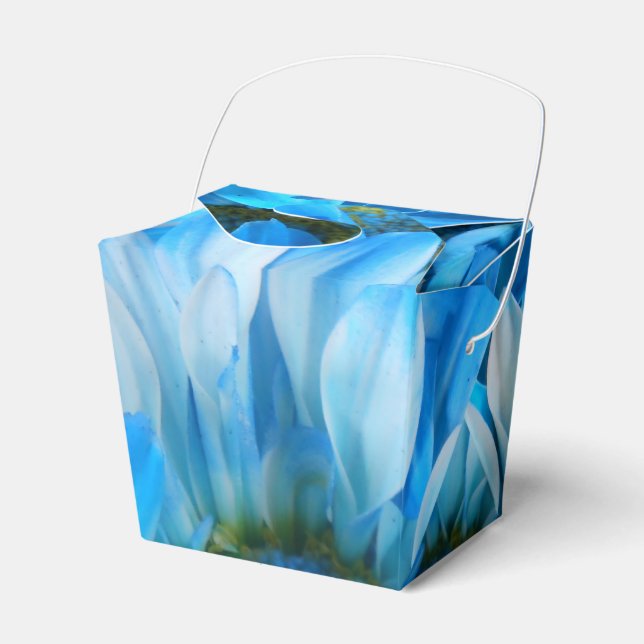 Collaert Favour Box (Front Side)