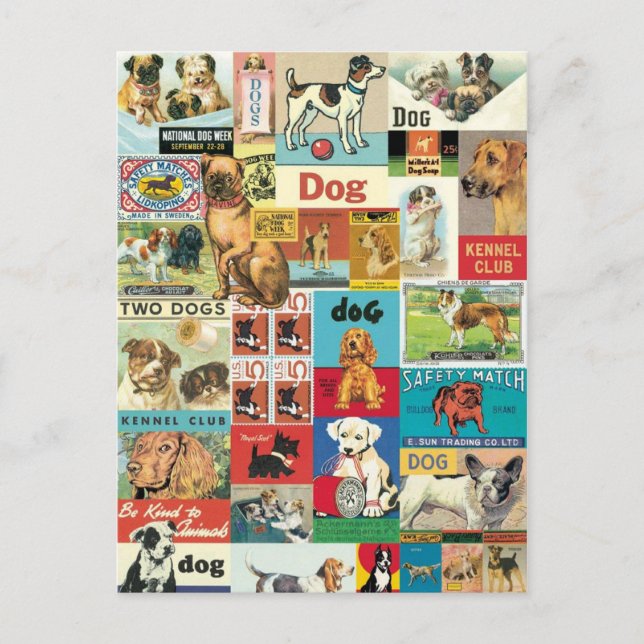 Collage chiens vintage postcard (Front)