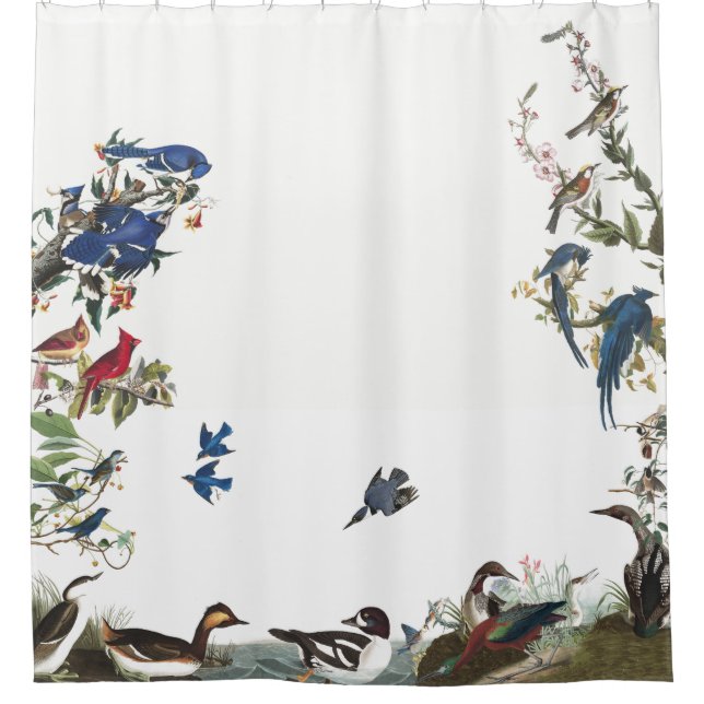 Collage of Birds Audubon Wildlife Shower Curtain (Front)