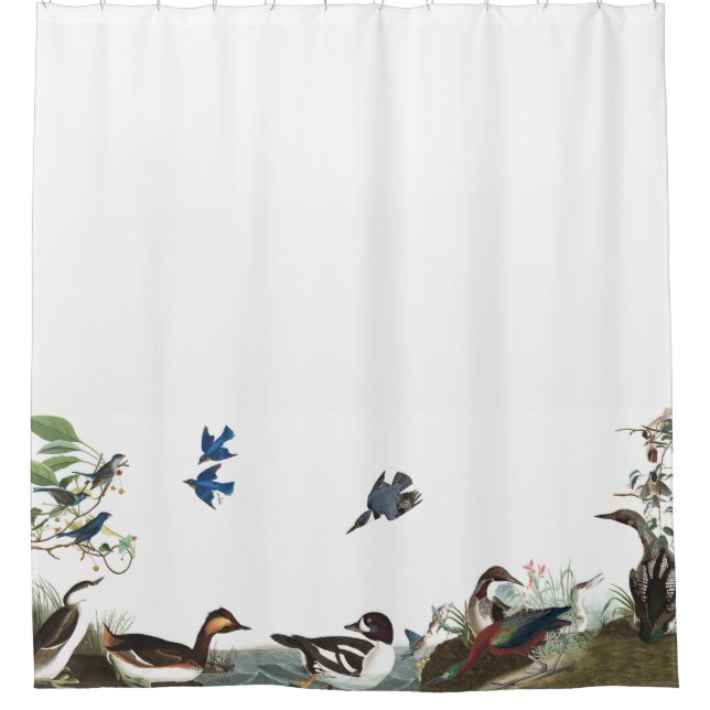 Collage of Birds Audubon Wildlife Shower Curtain (Front)