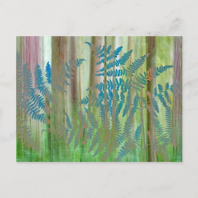 Collage of Bracken Ferns and Forest | Seabeck, WA Postcard (Front)
