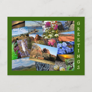 Collage of Nature & Wildlife Postcard